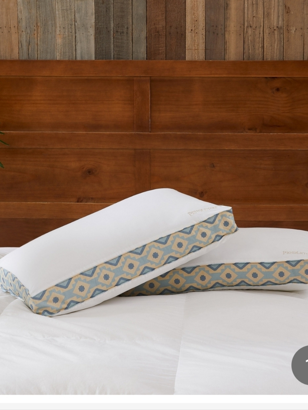 (6)Pendleton Colossal 300 Thread Count 100% cotton Pillow 2 Pack
